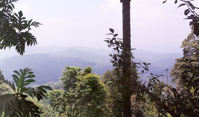 Intrepid and Its Work